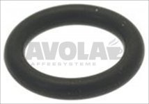 GASKET ORM 0090-20 EPDM