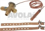 THERMOSTATIC VALVE J8F-JW R134a