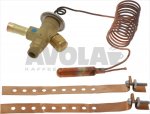 THERMOSTATIC VALVE J8M-JW R134a