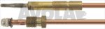 THERMOELEMENT GASCO M8x1 60 cm