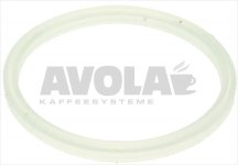 GASKET FOR FILTER LID
