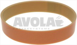 BELT MULTIGRIP J 431 H28 11 GROOVES