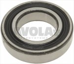 LAGER 6006-2RS1 SKF
