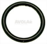ECM gasket