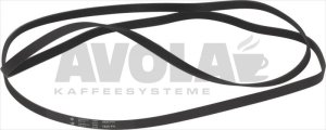 RIEMEN HUTCHINSON 1930 H7