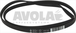 RIEMEN 1079 J4 EL POLY