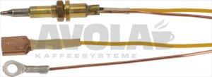 THERMOELEMENT MIT FASTON