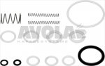 KIT O-RING DICHTUNG UND FEDER SERIE 