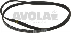 RIEMEN 1236 J4 EL WHIRLPOOL C00315247