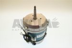 Elektra MX  Macap MX 230V50HZ MOTOR