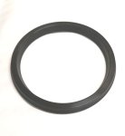 Dichtung 100 FKM Bacchi