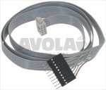 CAVO FLAT 10 POLI 800 mm