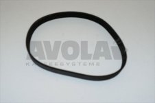 CINGHIA POLY-V 483 J6