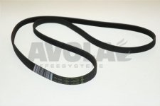 CINGHIA ELASTICA 1201 J5 AQUALTIS