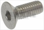 Ascaso INOX M5X12 SREW