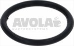 OR-DICHTUNG ø 42,86x3,53 mm GRUPPO IZZO