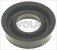 pisron rod gasket