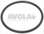 o ring 0161 epdm