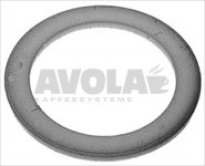 FLAT CARBO GASKET