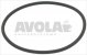 spaziale o ring 04312 viton