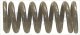 manifold spring