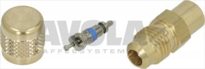 ACCESS VALVE ODS