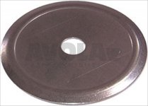STAINLESS STEEL DISK