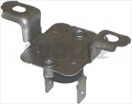 SAFETY THERMOSTAT