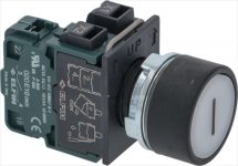 WHITE START PUSH-BUTTON 10A 600V