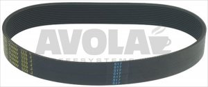 MULTIGRIP BELT J 330 H20 7 GROOVES