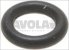 o ring epdm r5