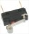 micro switch burges