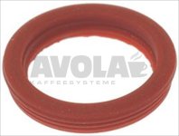 SHAPED GASKET