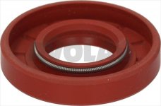 DICHTUNGSRING AUS FKM 52x25x10 mm GP