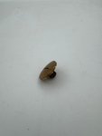 Bellezza Nozzle joint