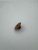 bellezza nozzle joint